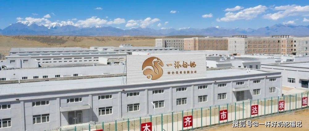 原创践行乳制品良好生产规范gmp驼福记只为生产高品质骆驼奶粉