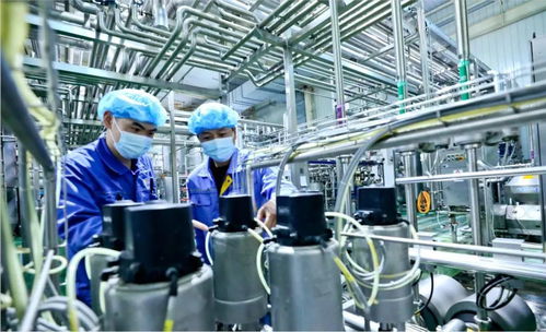 用新质生产力破解乳业困局 张掖新型乳制品走俏海内外凤凰网甘肃 凤凰网