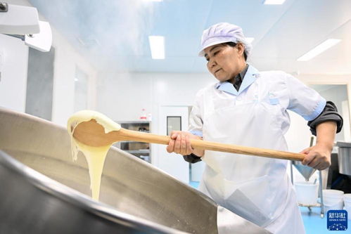 内蒙古镶黄旗 传统奶制品产业助力乡村振兴