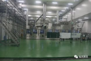 咱仙河家门口的乳制品加工厂正式投产啦