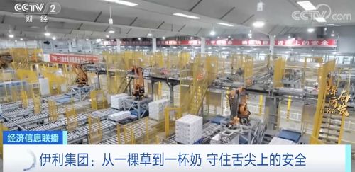 踔厉奋发看名企丨伊利每日下线1亿多份产品 国产奶粉占据近七成线下市场
