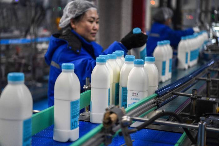 河北丰宁:发展乳制品产业 助力经济高质量发展