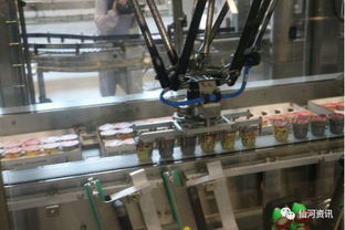 咱仙河家门口的乳制品加工厂正式投产啦
