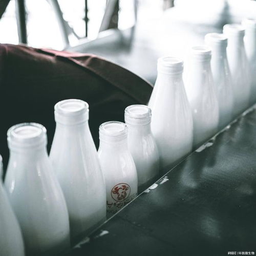 乳制品常见微生物指标介绍及乳制品在生产中的微生物控制