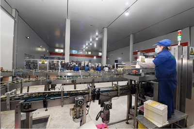 青海新闻网 | 奥运冠军见证 青藏牧场之选 切阳什姐为青海乳业品牌代言