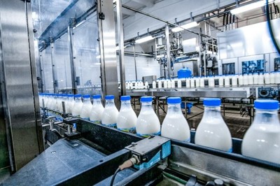 乳制品生产过程中蜡样芽孢杆菌污染怎么解决?
