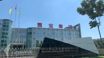 常温酸奶和低温酸奶,到底怎么选