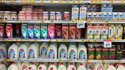 定了 牛奶和乳制品价格上涨10 至15 ,明年生活成本飙升